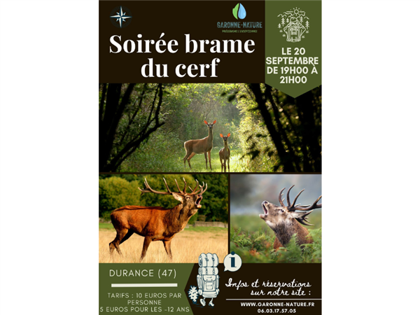 Soirée brame du cerf Le 20 sept 2024