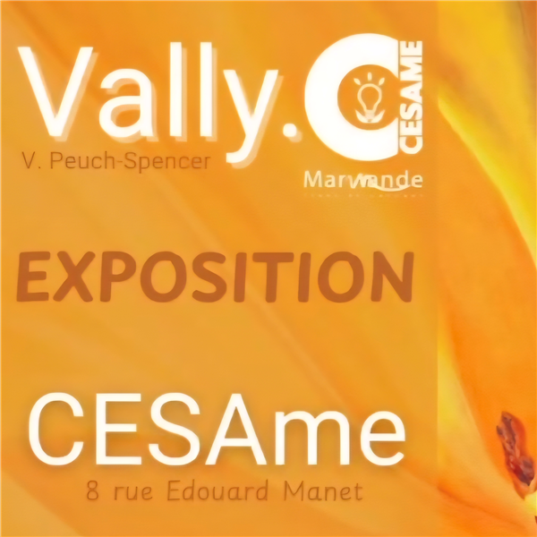 Exposition Vally à CESAme