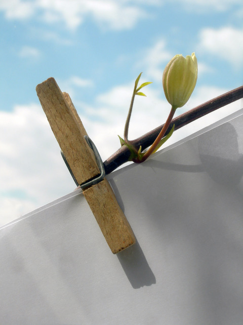 Exposition Ephémère Art Participatif La Grande Lessive