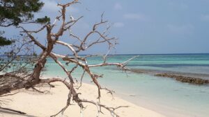 Conférence -Sur le Nouvelle Calédonie