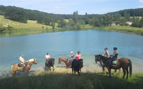 Equitation Service 47