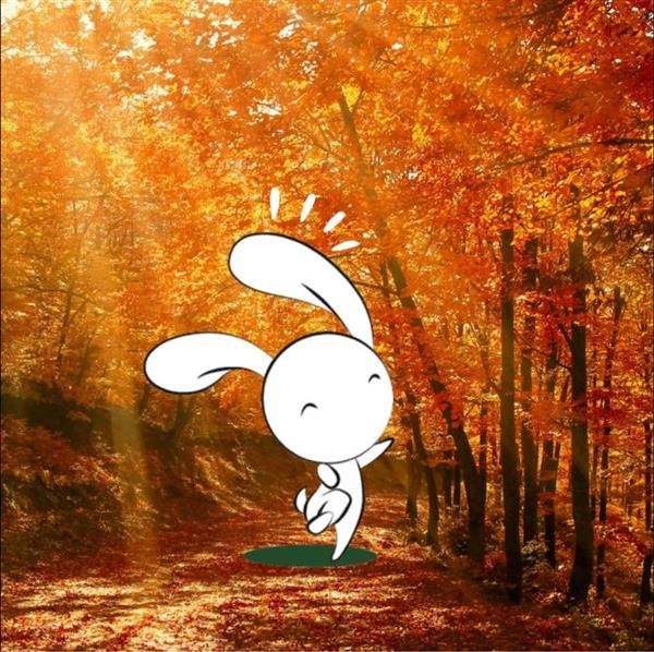 Animation nature en famille : Cocon d'hiver