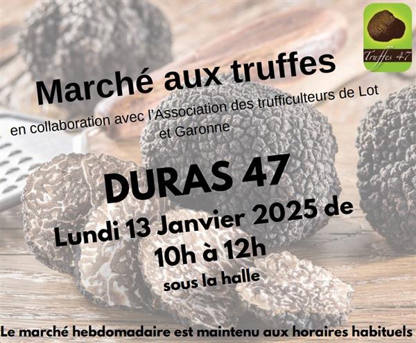 Marché aux truffes Le 13 janv 2025